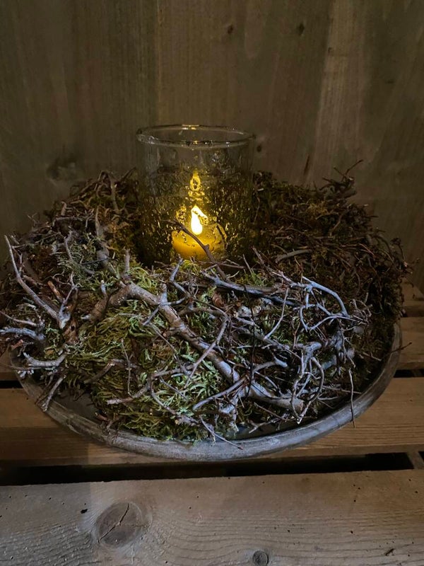 Krans/nest bonsai met mos