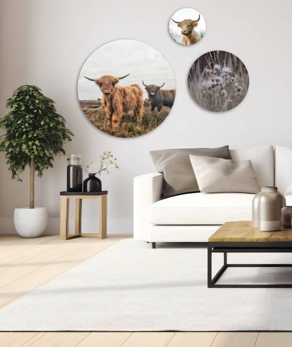 Set nieuw Schotse hooglander