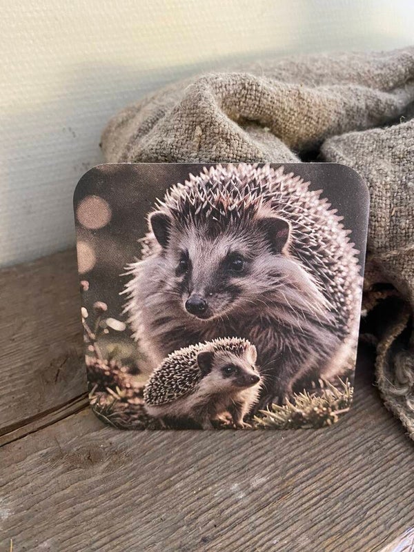 Moeder egel met jong