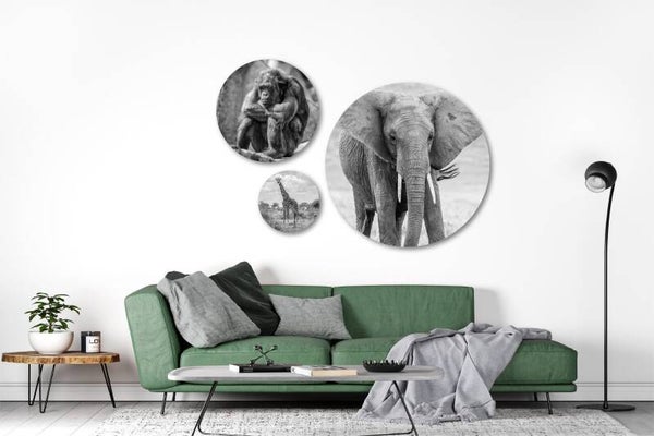 Dierentuin