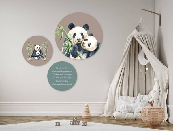 Set panda