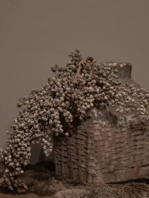 Tuinposter Leemmand met dadeltakken