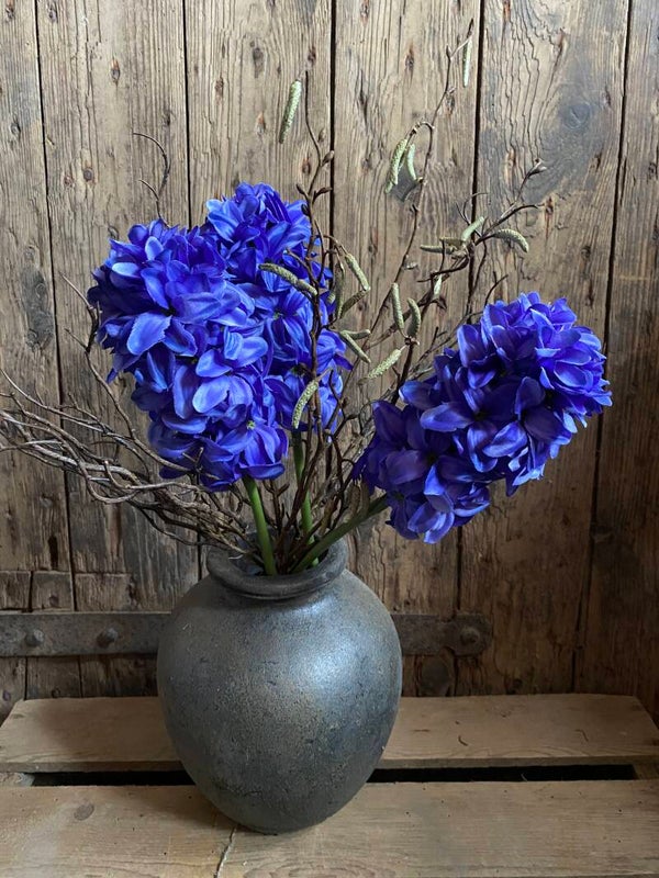 Hyacint donkerpaars/ blauw