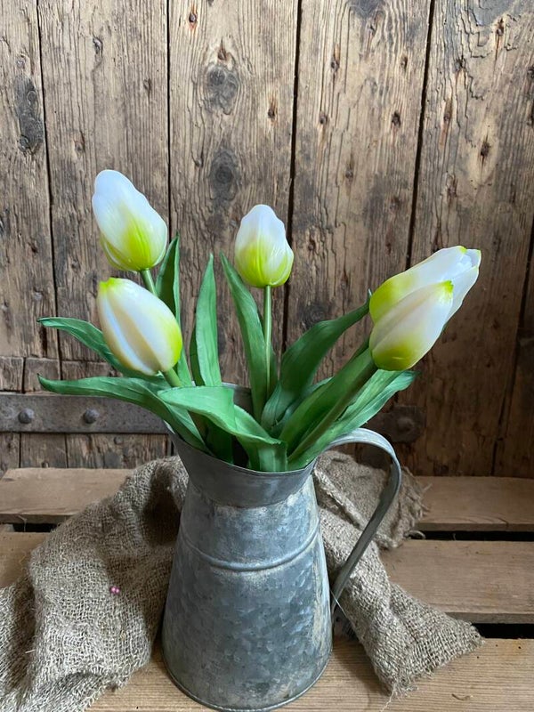 Witte tulpen