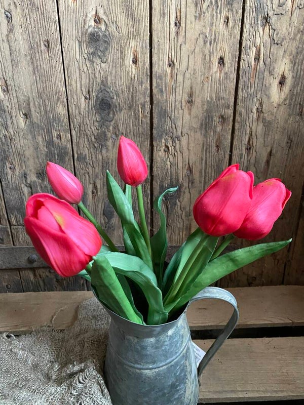 Donker roze tulpen