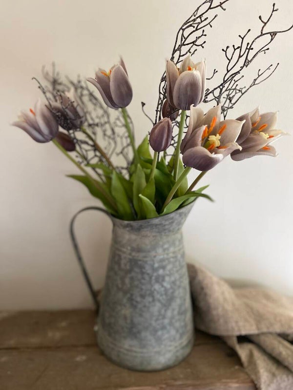 Soft grey Kelsey tulpen