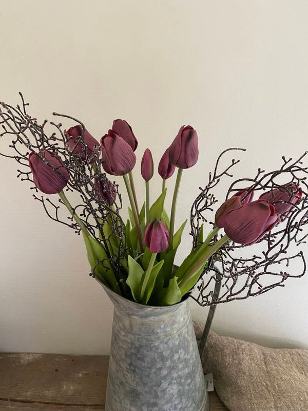 Tulpen paars