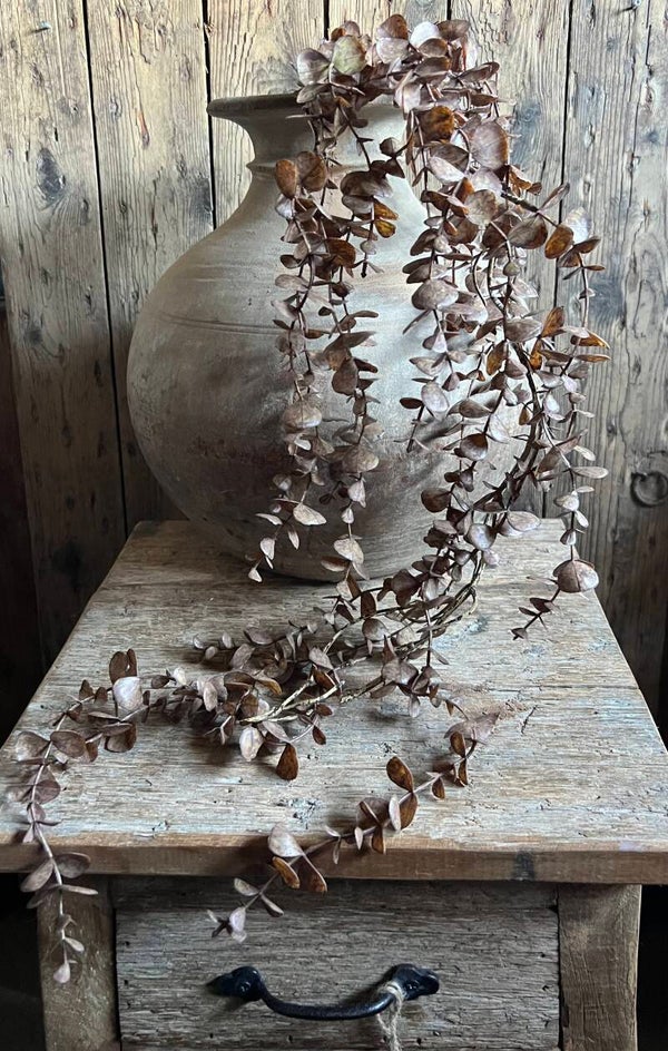 Bruine eucalyptus hanger