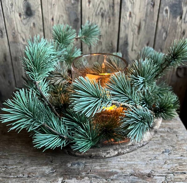 Larix kransje