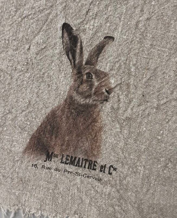 Shabby doek gekleurde haas