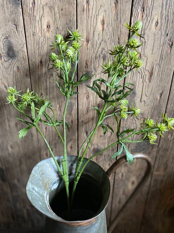 Groene distels