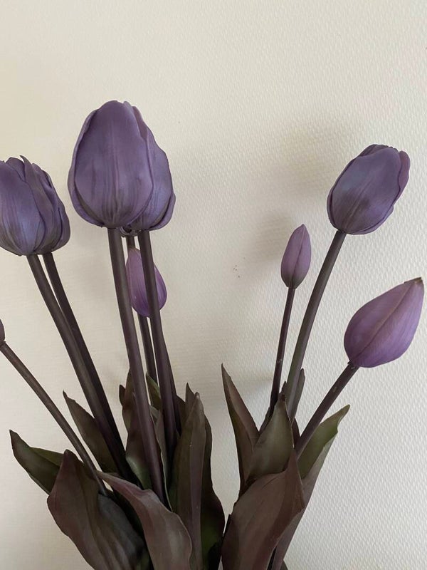 Paarse tulpen met sobere kleur blad en steel