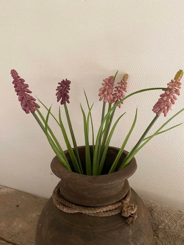 Gemixte roze/paarse druifjes, 5 stuks