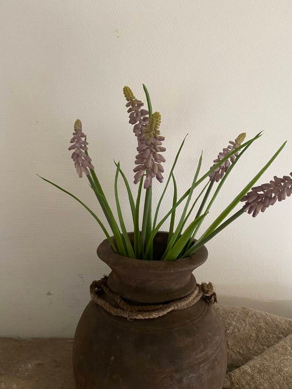 Licht paarse druifjes, 5 stuks