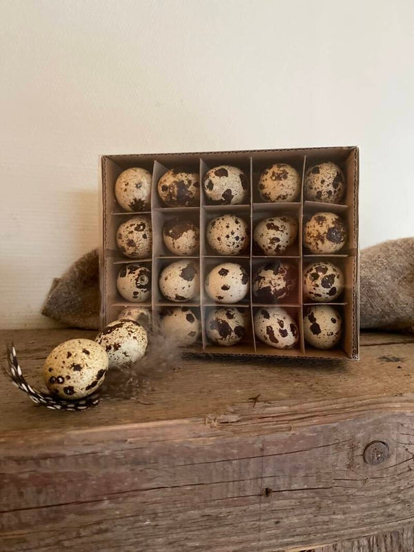 Doos met kwarteleitjes