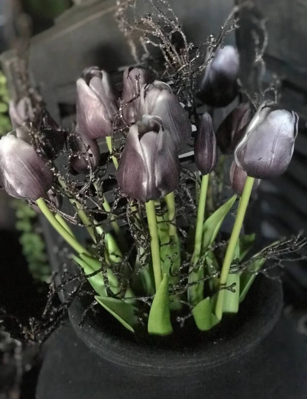 Tulpen soft purple grey