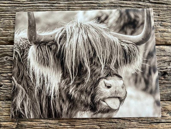 Vinyl placemat schotse hooglander sepia nr 3