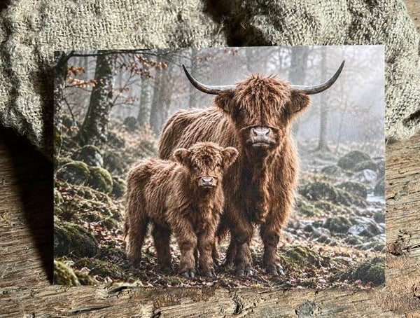 Fotokaart hooglander nr22