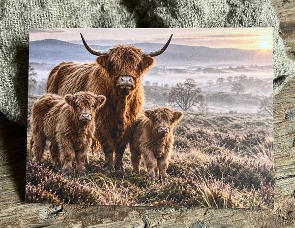 Fotokaart hooglander nr21