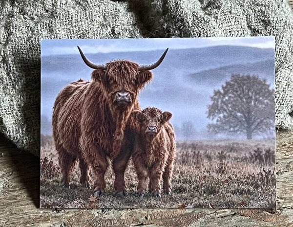 Fotokaart hooglander nr20