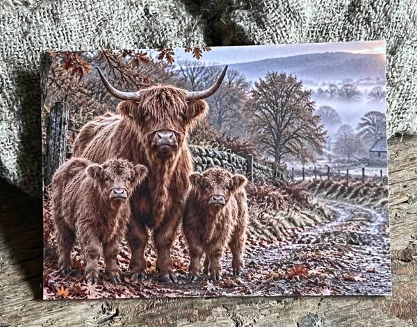 Fotokaart hooglander nr19