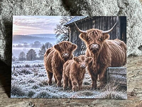 Fotokaart hooglander nr18