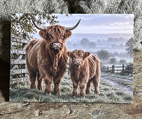 Fotokaart hooglander nr17