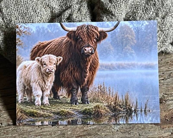 Fotokaart hooglander nr16
