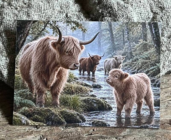 Fotokaart hooglander nr13