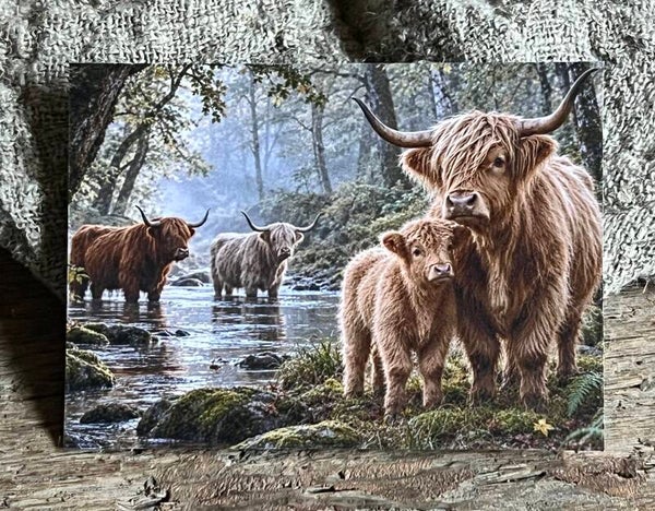 Fotokaart hooglander nr12