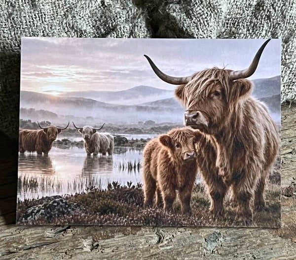 Fotokaart hooglander nr11