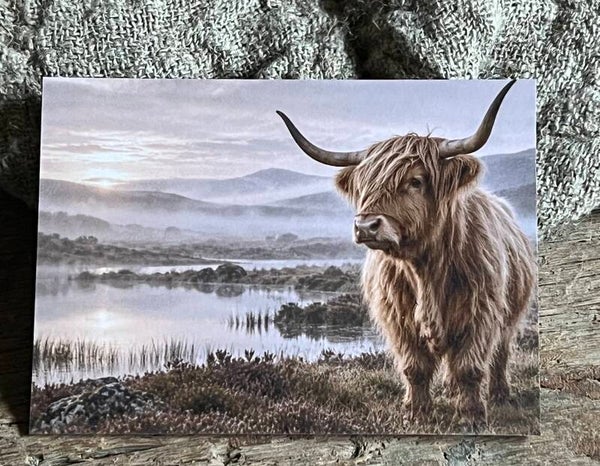 Fotokaart hooglander nr10