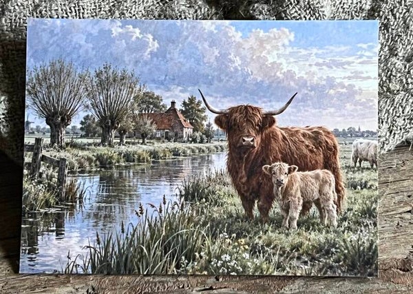 Fotokaart hooglander nr9