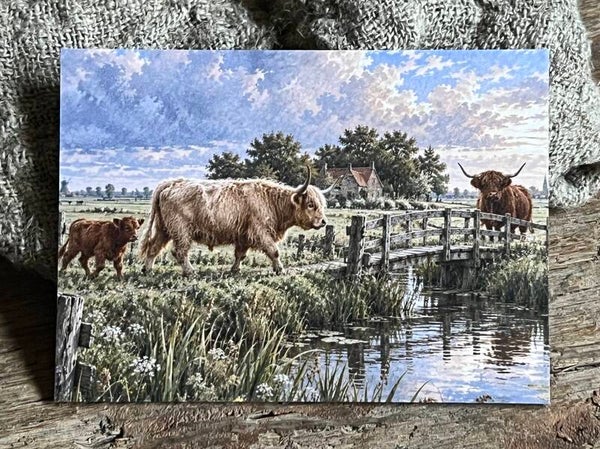 Fotokaart hooglander nr8