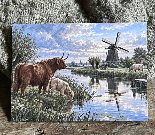 Fotokaart hooglander nr7