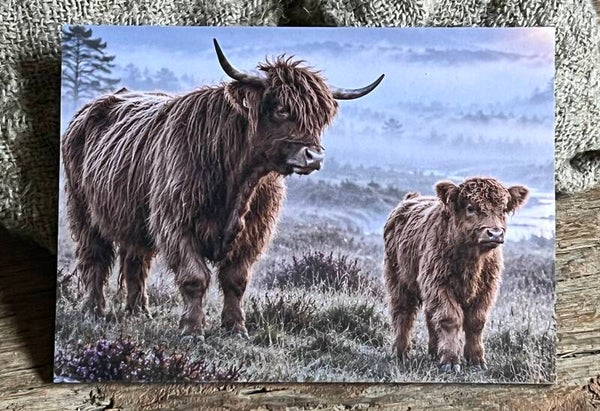 Fotokaart hooglander nr6