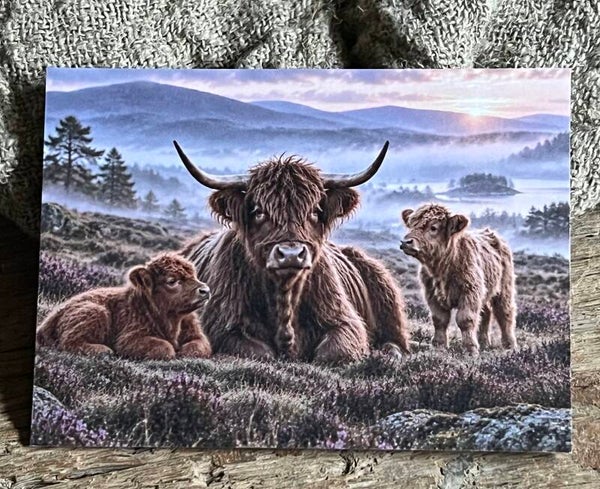 Fotokaart hooglander nr5