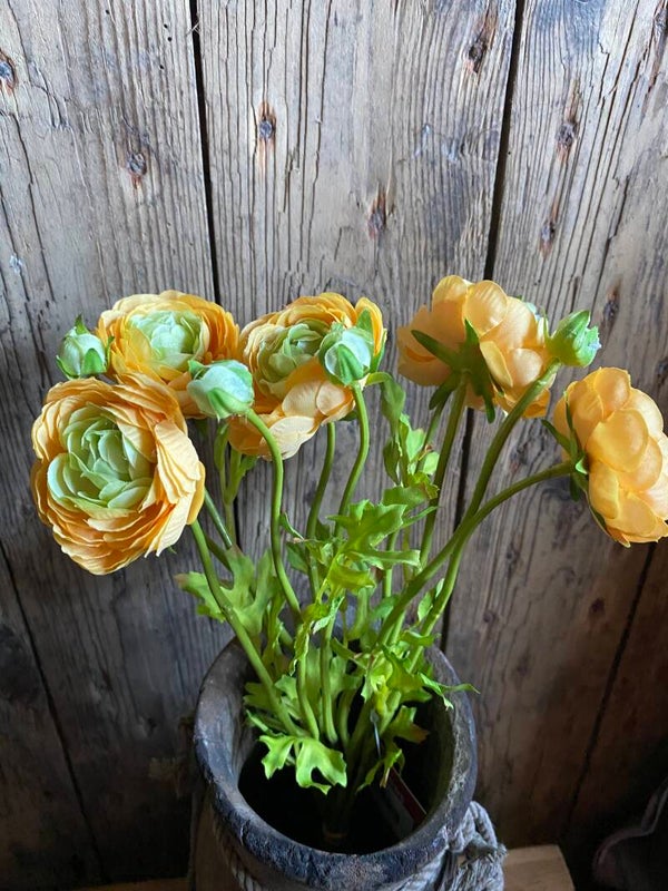 Bosje ranonkeltjes oranje