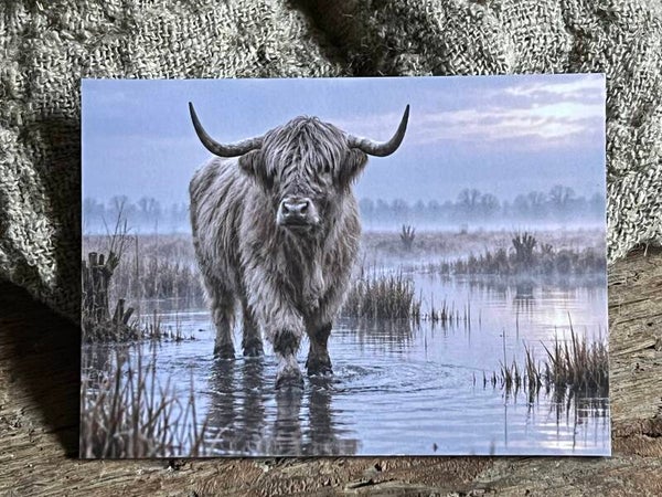 Fotokaart hooglander nr3
