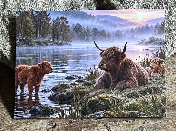 Fotokaart hooglander nr2