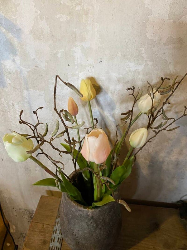 Tulpen pastel