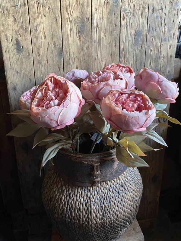 Pioenroos antique pink