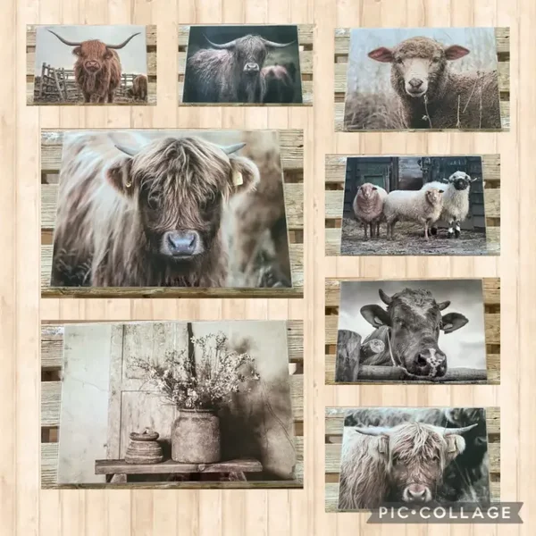 Vier Placemats met een lamineer foutje,  assorti
