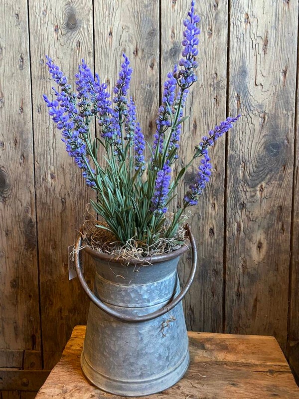 Lavendel struikje