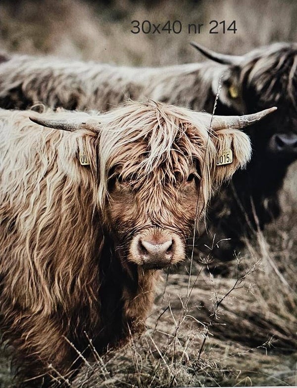 Kleine wanddoek nr 214