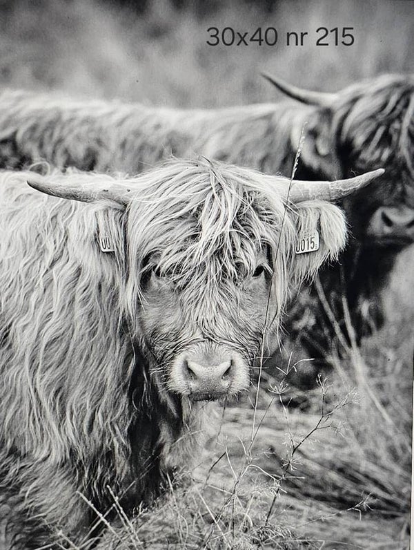 Kleine wanddoek nr 215