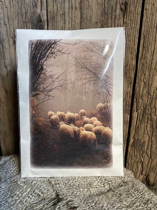 Geurzakje met schapen