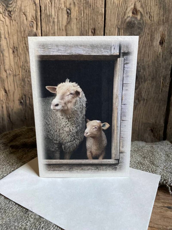 Kaart schaap en lam