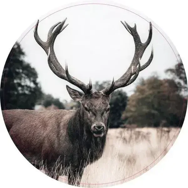 Muurcirkel Hert