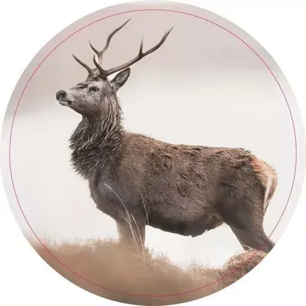 Muurcirkel hert.